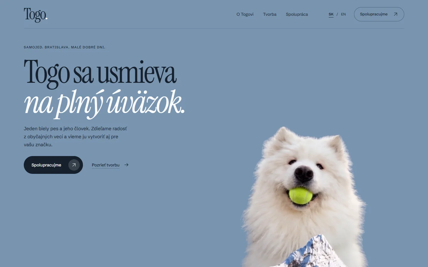 Úvodná stránka projektu Samoyed Togo