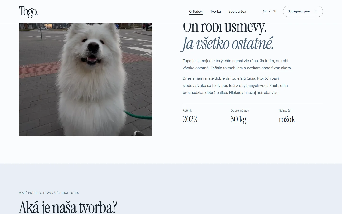 Ďalšia časť webu Samoyed Togo